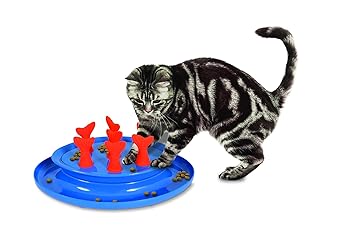 Jackson Galaxy Go Fish Slow Feeder Puzzle Bowl Amazon Co Uk Pet