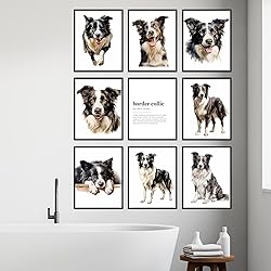 BigWig Prints Border Collie Wall Art - Border