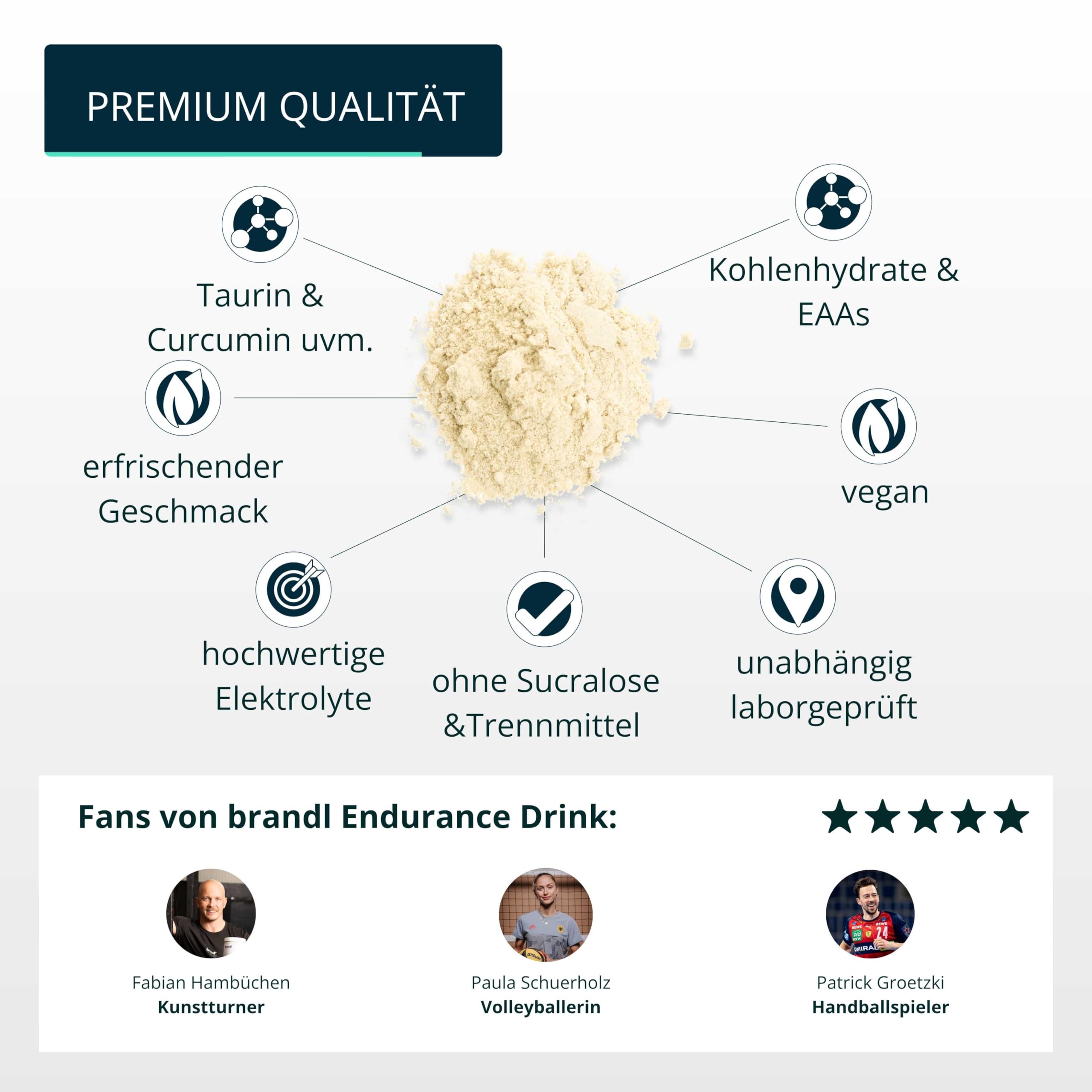 Sport all-in-One Ausdauer-Drink Endurance - hochwertige Elektrolyte, Kohlenhydrate, EAAs & Superfoods - Isotonisches Getränkepulver lemon by brandl® - Electrolytes, Eiweiß - 600g Intrapost Workout 4