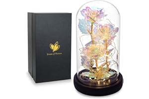 Dream of Flowers Blessing Gifts for Mothers, 24K Galaxy Artificial Rose Beauty and The Beast Rose, Colorful Led Lights in The Dome Glass, Unique Gift, Anniversary, Mother's Day, Holiday Party