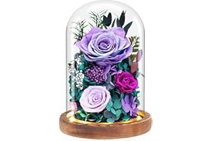 Dsuto Forever Fresh Roses Flowers for Delivery Prime - Preserved Purple Flower Bouquet in Glass Dome as Birthday Gifts for Women & Mothers Day Gift Basket for Mom, Grandma, Wife, Daughter and Friends