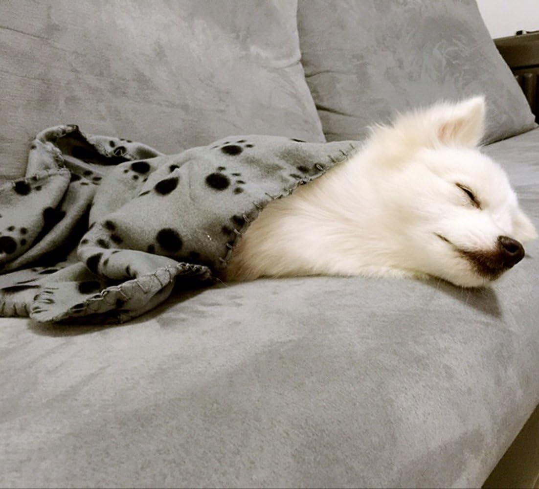 Comsmart Warm Paw Print Blanket/Bed Cover for Dogs and Cats, 6 Pack of 24x28 Inches : Pet Supplies