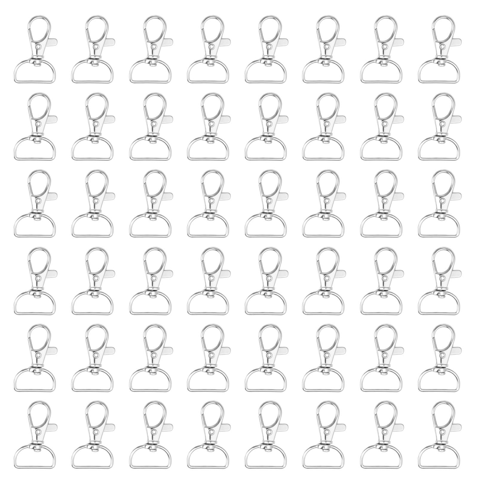 Iyowei 60Pcs D Ring Keyring, 24mm / 1 inch Outside Width Metal Lobster Clasps Swivel Keyring Key Chain Hooks for Bag Buckle Straps Belt Backpack Key Chain DIY Accessories