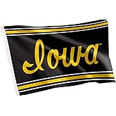 Desert Cactus University of Iowa Flag Hawkeyes Banners 100% Polyester Indoor Outdoor 3x5 feet Flags (Vintage B)