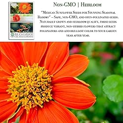 Mexican Sunflower Seeds