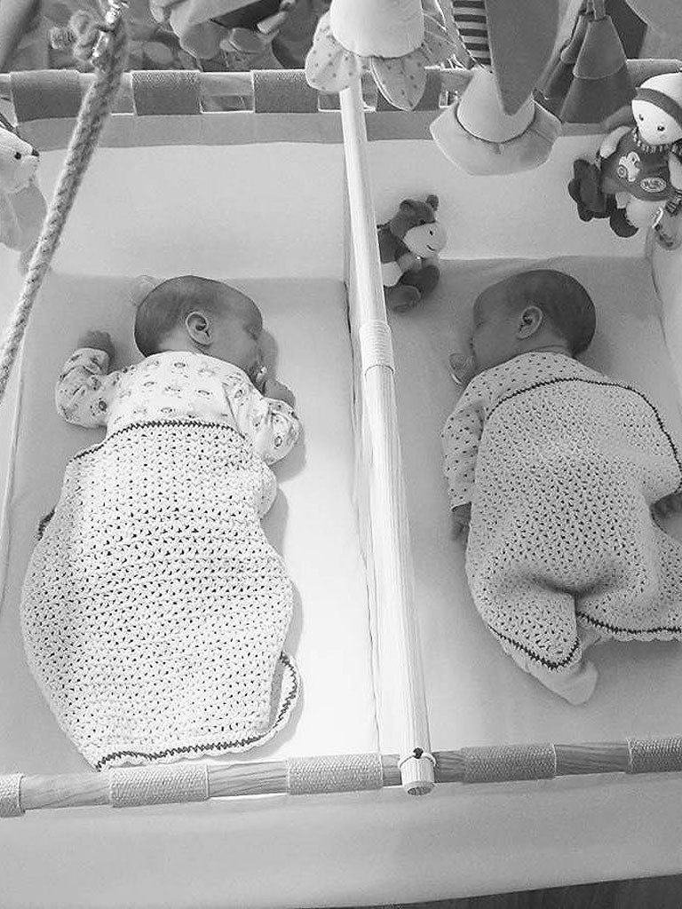 hussh cradles zwillingswiege