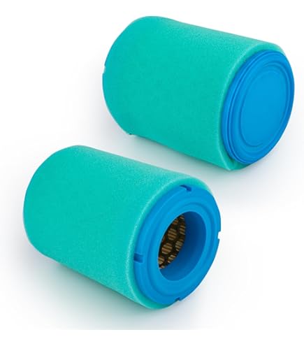 KOH Excellent catalytic performance of (FC)P-(NFC)S/NF catalyst for