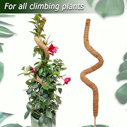 60 Inch Moss Pole for Plants Monstera, Tall Bendable Moss Poles for  Climbing Plants Indoor, Large Handmade Plant Pole Sticks, Coco Coir Plant  Support Stakes for Potted Plants, Pothos in Saudi Arabia |