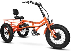 Addmotor Motan M-360 Electric Trike 