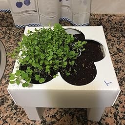 Huerto Urbano - Seed Box Kids - Batlle: Amazon.es: Jardín