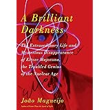 A Brilliant Darkness: The Extraordinary Life and Mysterious Disappearance of Ettore Majorana, the Troubled Genius of the Nucl