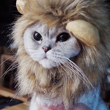 Bello Luna Löwe Haar Kopfbedeckung für kleinen Hund und Katzen, Löwe Mähne Perücke Welpen Cosplay Kostüm für Halloween Weihna