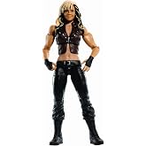 WWE MATTEL Best of 2013 Kaitlyn Figure
