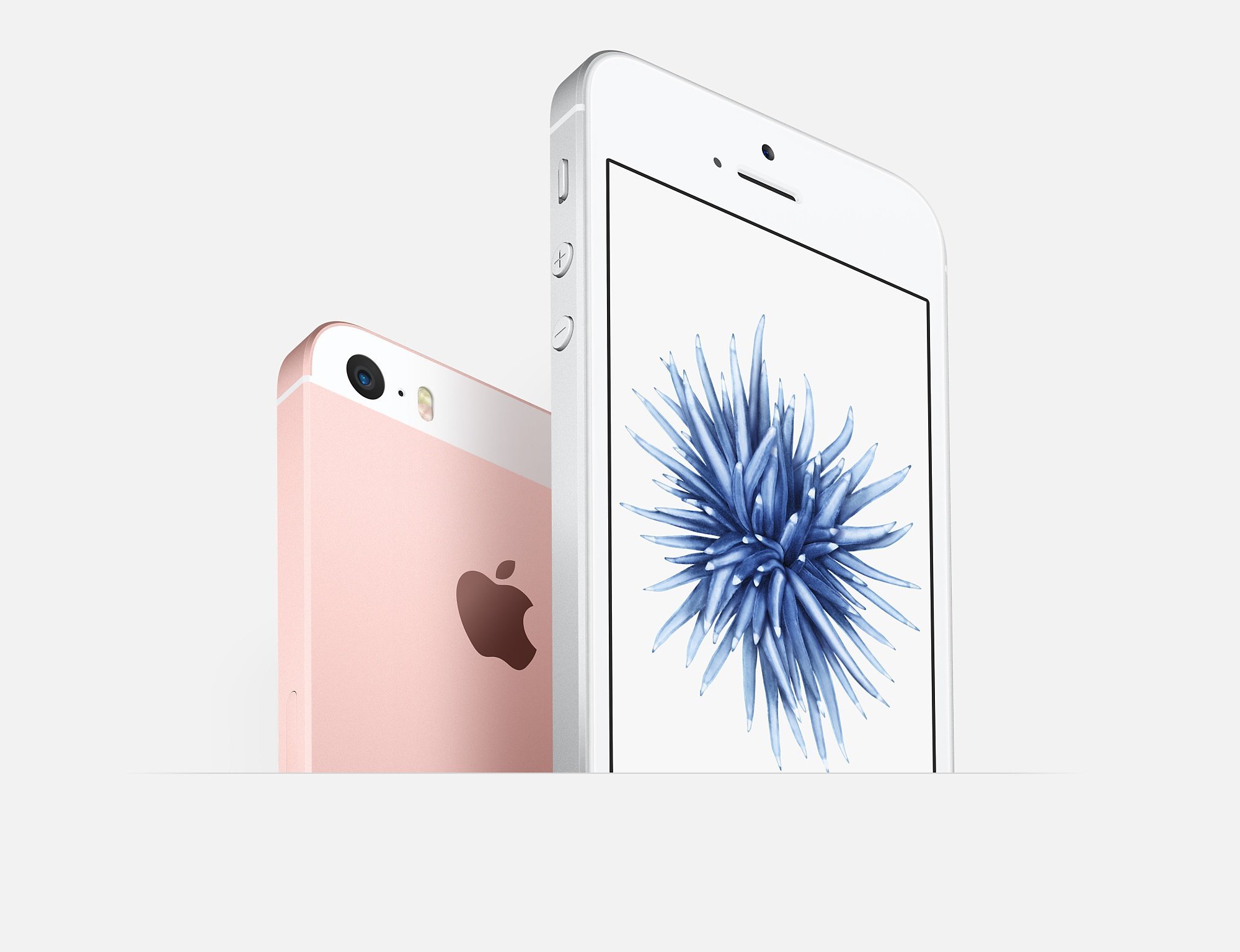 Apple iPhone SE Rose 16GB Smartphone Débloqué (Reconditionné)