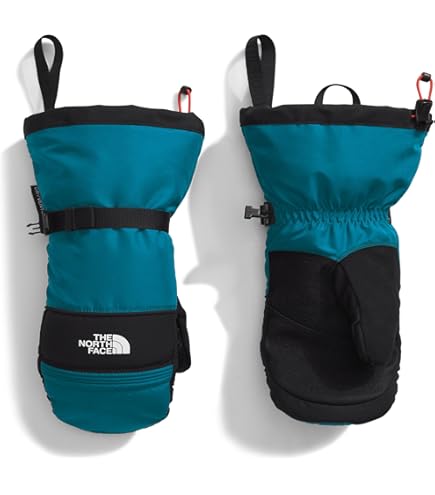Amazon.com: Burton 2334310A04MRegular [ak] 3L Gore-TEX Oven Mitten