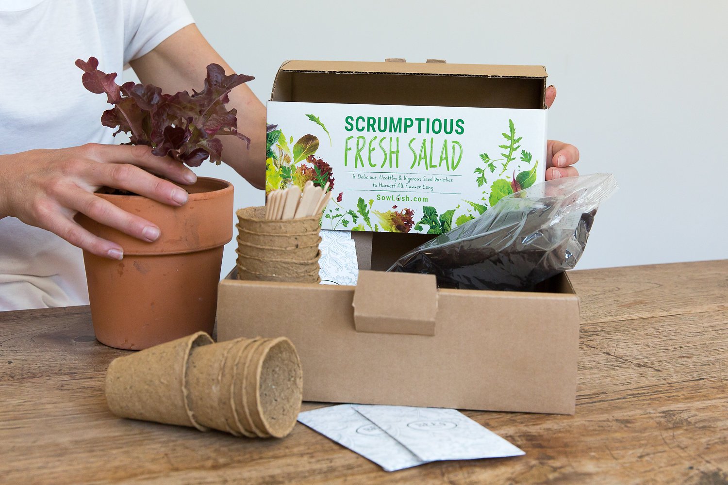 Sow Lush Set de Cultivo de Semillas para Ensalada «Scrumptious ...