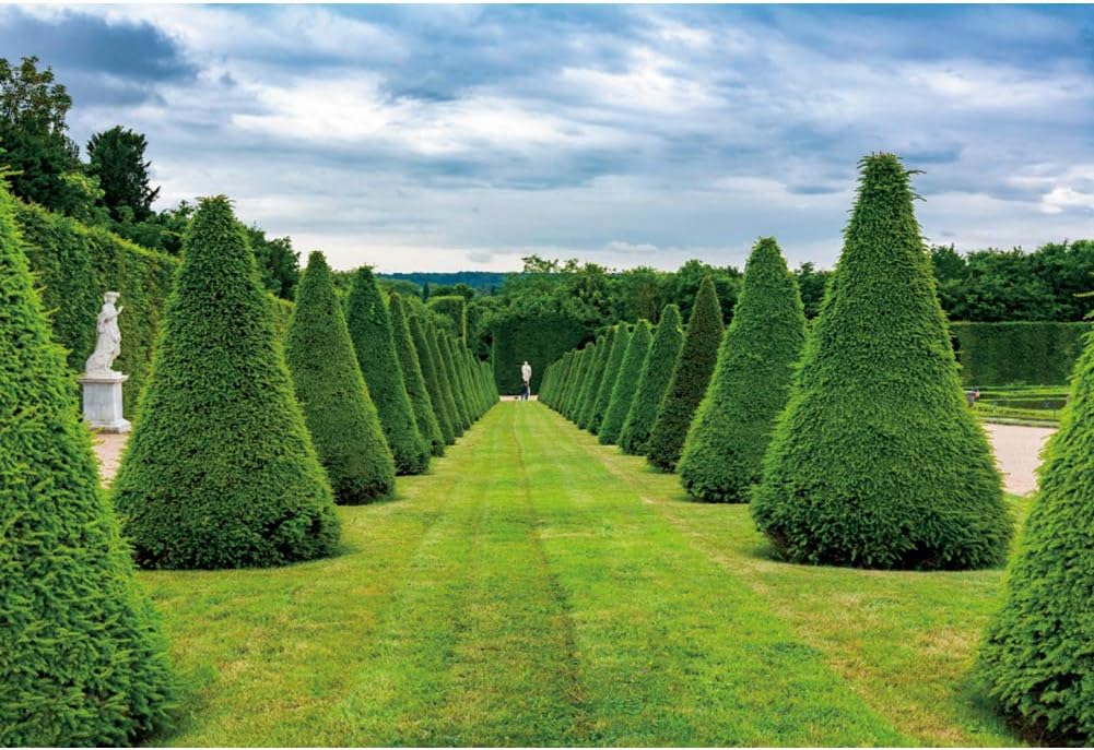 YongFoto 14x10ft Spring Scenery Backdrop for Photography Green Trees Garden Path Grass Photography Background Wedding Party Decoration Outdoor Portrait Photoshoot Studio Props