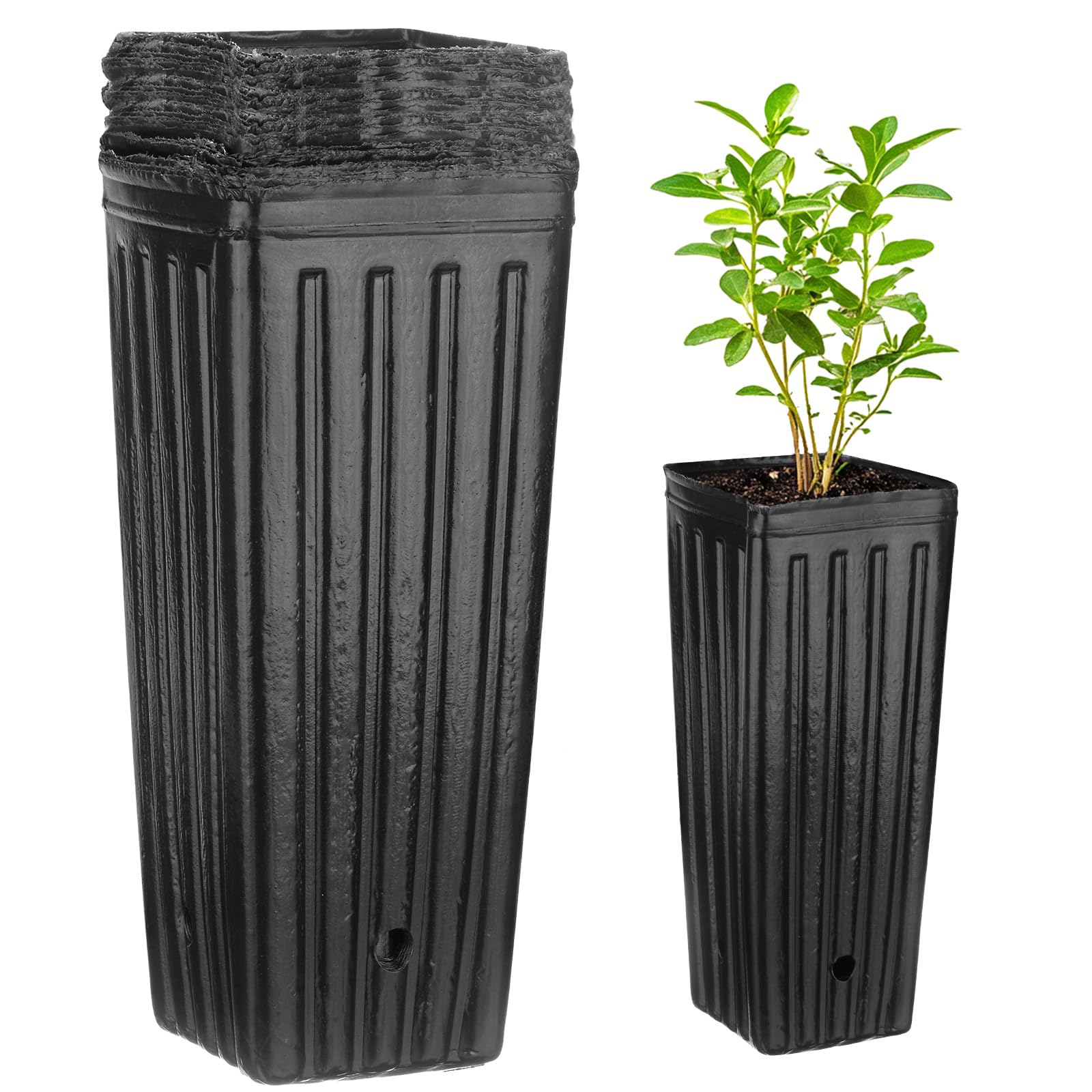M METERXITY 50-Pack Plant Nursery Pots, 4.72x4.72x9.84 Inch Plastic Deep Growing Nursery Pots Succulent Planter Flower Tree pots with Drainage Holes for Indoor Outdoor Gardening [Black]