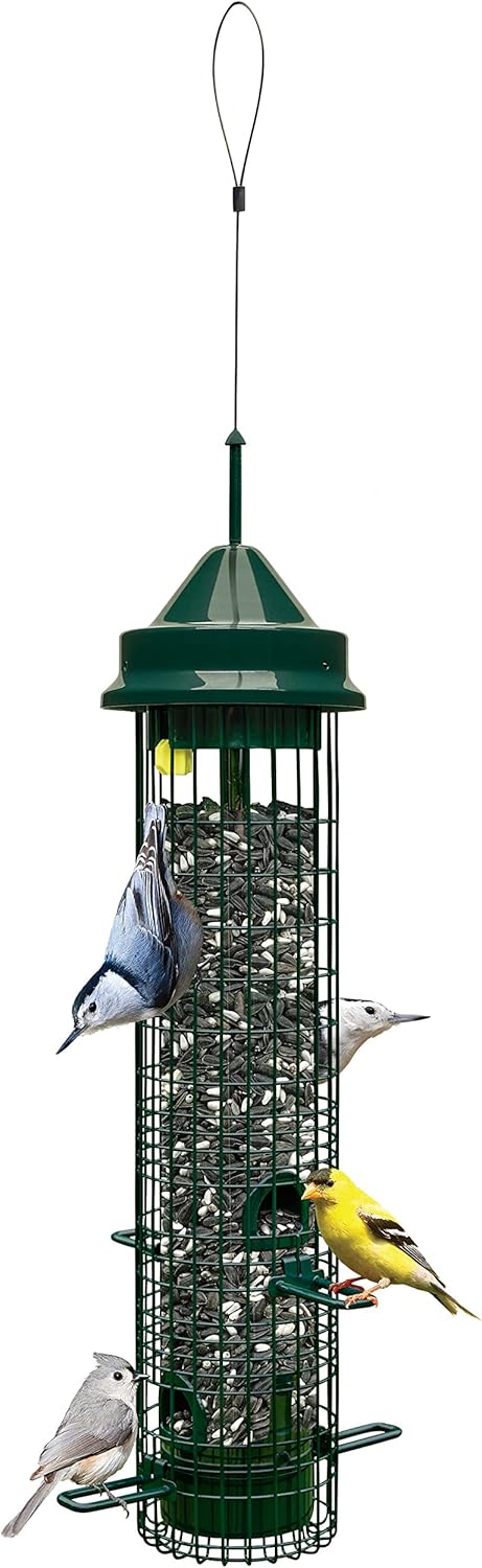 Backyard Birding & Wildlife - Squirrel Buster Classic Squirrel-proof Bird Feeder w/4 Feeding Ports, 2.4-pound Seed Capacity