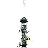 Squirrel Buster Classic Squirrel-proof Bird Feeder w/4 Feeding Ports, 2.4-pound Seed Capacity