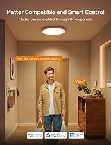Govee LED Ceiling Light 2400LM RGBIC Flush Round Ø30cm 24W Smart view 4