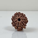 Certified 7 Mukhi Rudraksha Bead from Nepal | Natural Seven Faced Rudraksha for Meditation, Puja & Spiritual Healing | Authentic Nepali Rudraksha Symbolizing Goddess Mahalaxmi | Energized Prayer Bead