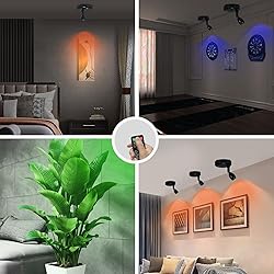 KANESIKI Wireless Spotlight Battery Operated, RGB