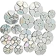 1.1 LB Random Iridescent Flower Ceramic Mosaic Tiles for DIY Crafts,3 Size Flowers Mosaic Pieces for Artwork,Photo Frames,Cups,Flower Pots,Fish Tank,Vases,Make Stepping Stones (White)
