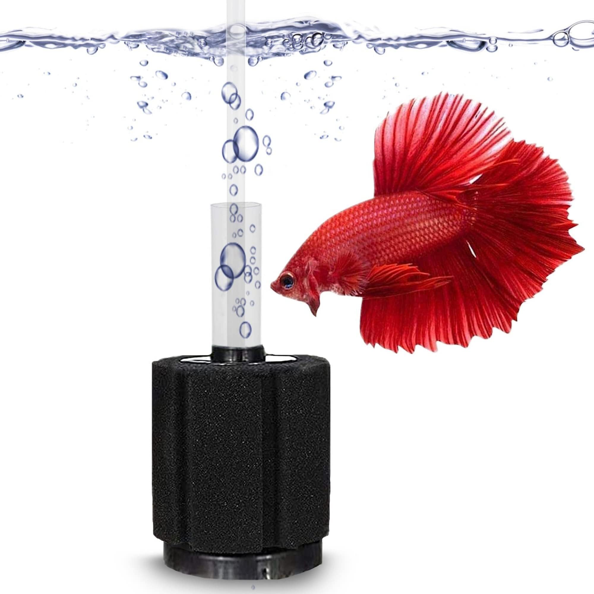 Photo 1 of SunGrow 10-Gallon Betta Sponge Filter, Underwater Center Aquarium Filter, Attach it to Air Pump (Not Included) to Run, Works for Tropical Fish & Breeder Aquarium, Perfect for Fry & Small Fish