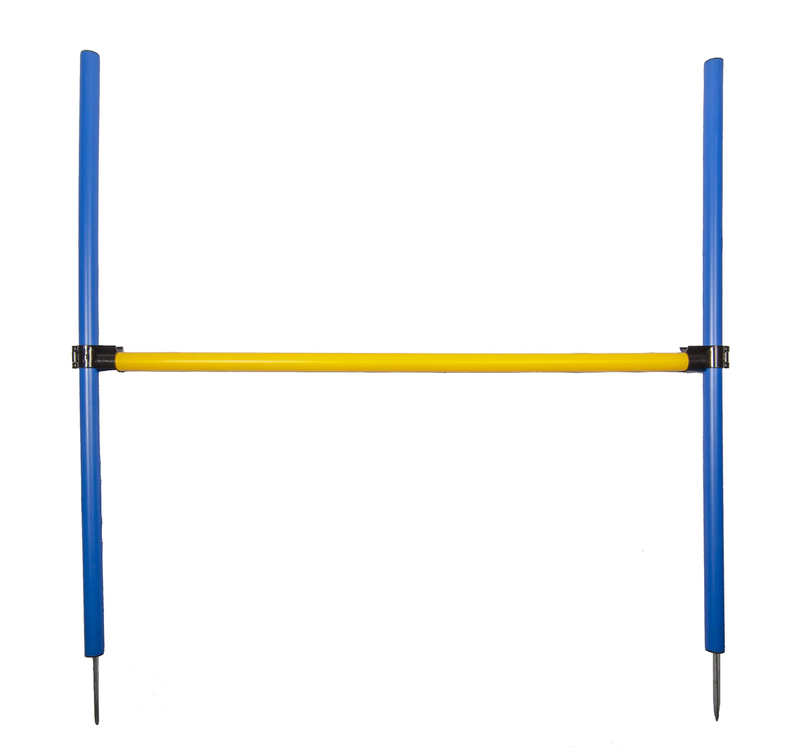 Pet Brands Agility Hurdle Jump, Blue/Yellow,100x67x3 cm (Pack of 1)