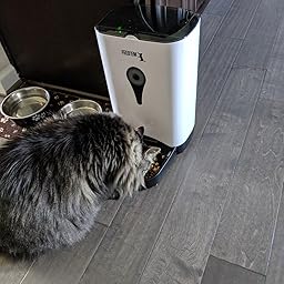 feedem pet feeder