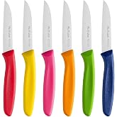 Ruffulon Colorful Paring Knife Set, 6 Piece,Small Fruit Knife,Straight Edge | Ultra Sharp Vegetable Knife,Small Kitchen Knifewith PP Plastic Ergonomic Handle,Stainless Steel Paring Knives