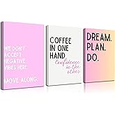 3Pcs Pink Feminine Motivational Canvas Wall Art Inspirational Office Wall Decor Pictures We Don't Accept Negative Vibes Here Move Along Posters Prints for Office Study Room Artwork Home Decoration