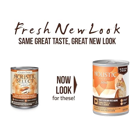 Amazoncom Holistic Select Natural Wet Grain Free Canned