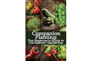 Companion Planting: The Beginner's Guide to Companion Gardening