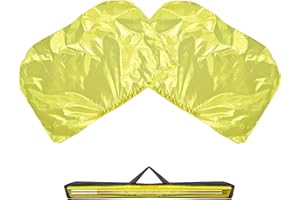 Baisdan 53"x37" Worship Flags for Teenagers & Beginners, Praise Dance Flags with Flexible Rods & Carrying Bag, 2 Pack, Gold