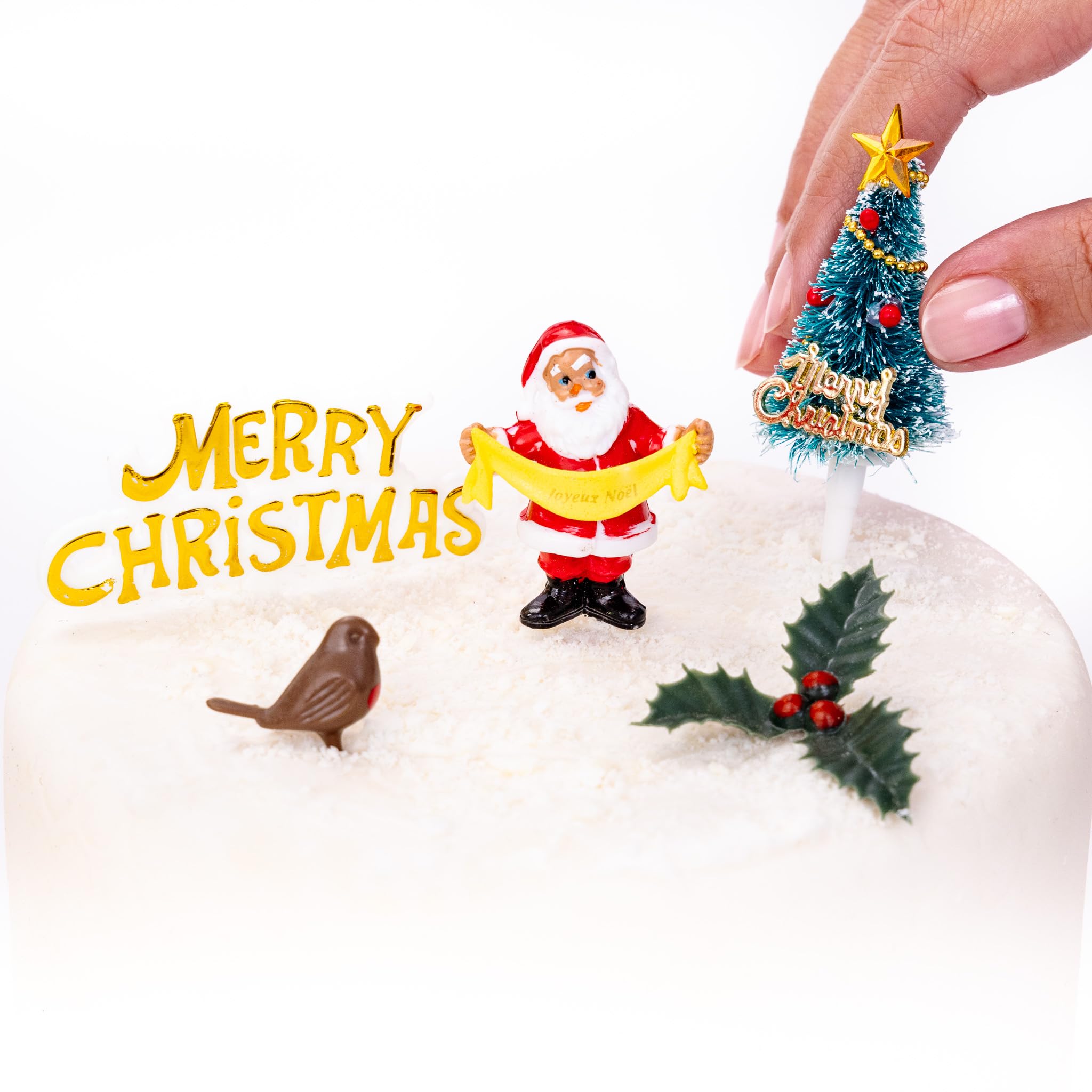 Christmas Cake Decorations Toppers 5 Piece Set - 3D Santa, Robin, Christmas Tree, Holly & Merry Christmas Sign - Non-Edible Reusable Cupcake Topper