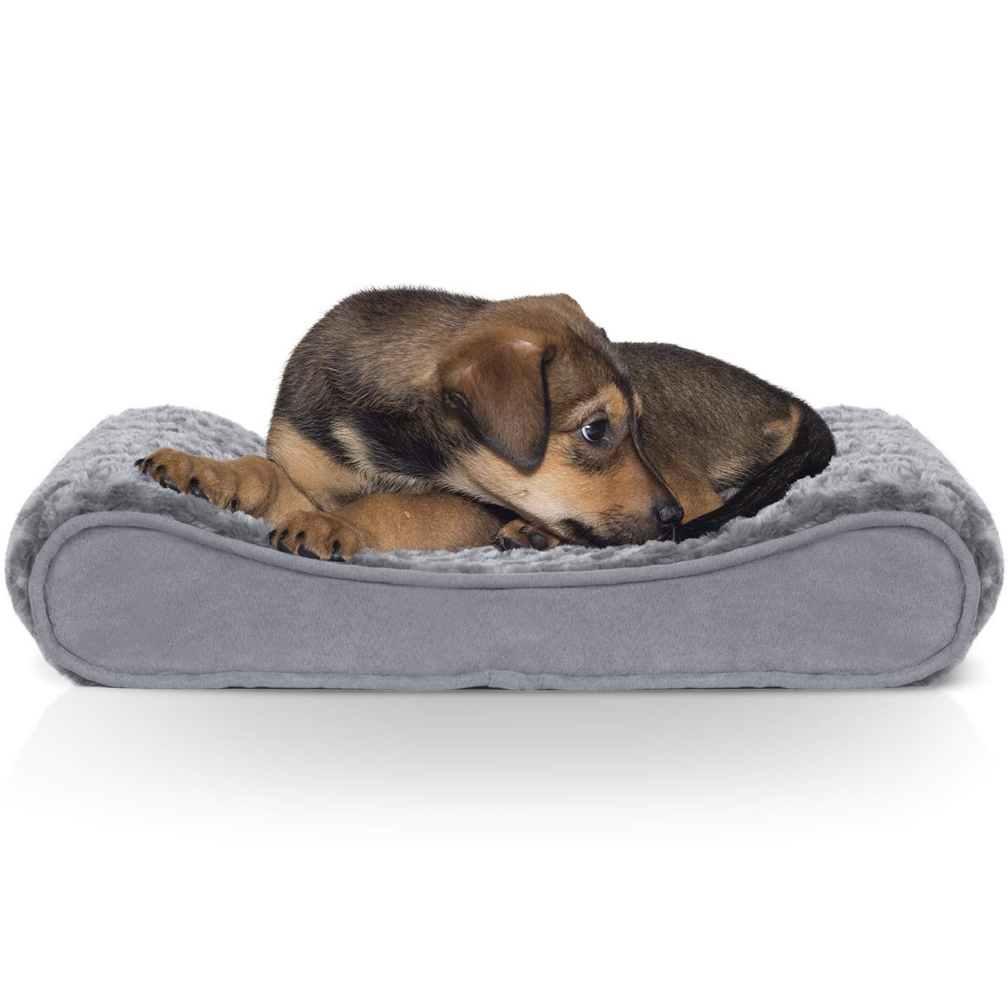 Photo inspiration: Fresh Look at Furhaven Ultra Plush Luxe Lounger Supportive Orthopedic Foam Dog Bed