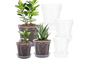 CEWOR 12 Pack 4/5/6 Inch Clear Nursery Pots with Drainage, Plastic Plant Pots with Saucer for Flowers, Succulent, Herb, Indoor Plants, Transparent Seed Starting Pots Variety Pack