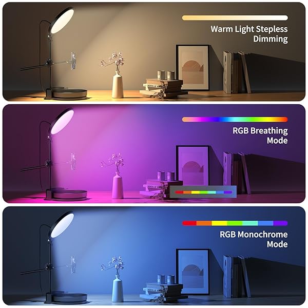 SELFIE LIGHT KIT FOR DESK AND LAPTOP,55W DIMMABLE FULL SCREEN RING LIGHT,WITH ROTATING STORAGE BOX,PEN HOLDER STAND,PHONE HOLDER AND CONTROLLER (PINK-RGB, 10.5)