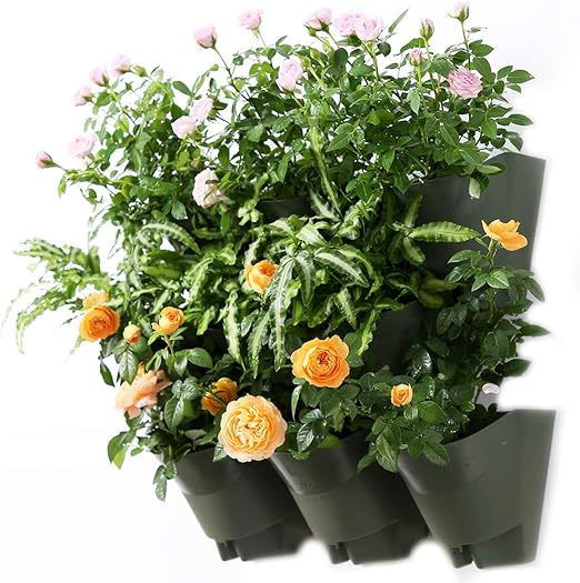 3 Sets Sistema de Auto-Riego Sembrador Vertical Worth Garden ...