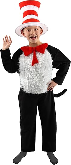 cat in the hat hat for child
