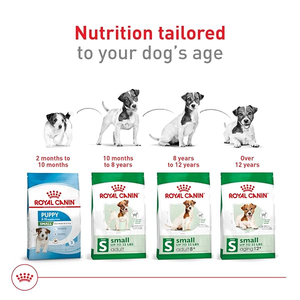 ROYAL CANIN SIZE HEALTH NUTRITION SMALL ADULT DRY DOG FOOD, 14 LB BAG