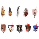 Hat Feathers, 10 Pcs Assorted Natural Feather Packs Accessories for Fedora, Cowboy, Open Road, Borges, Scott, Trilby Hats