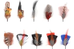 YESCRIBIR Hat Feathers, 10 Pcs Assorted Natural Feather Packs Accessories for Fedora, Cowboy, Open Road, Borges, Scott, Trilby Hats