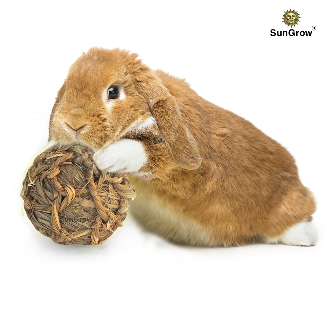 SunGrow Natural Seagrass Ball - Perfect & Safe Chewable Teething Toy for Rabbits, Cats, Hamsters, Gerbils & Birds : Healthy for Your Pet’s Gums & Teeth