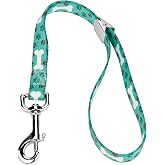 Country Brook Petz Dog &amp; Pet 5/8 Inch Grooming Loop with Spring Loaded Clip - 18 Unique Designs for Grooming and Vet Tables (Oh My Dog)