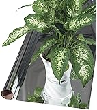 Hydrofarm  MY1M50 50-Foot by 4-1/2-Foot 1 Ml Reflective Metalized Film