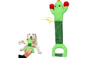 IOKHEIRA Dog Toys for Aggressive Chewers-Dog Toys for Large Dogs, Tough Durable Indestructible Dog Toys, Big Dog Chew Toys and Large Breeds (Large, Cactus)