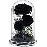 Tyvouflo Forever Flowers in Glass Dome - Preserved Roses, for Her Women Valentine's Day, Mother's Day, Anniversary A-Grade Black Roses, Home Decor for Girlfriend, Wife, Sister, Mom (Black)
